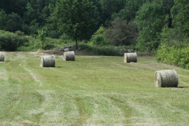 Hay Bales, Round clipart