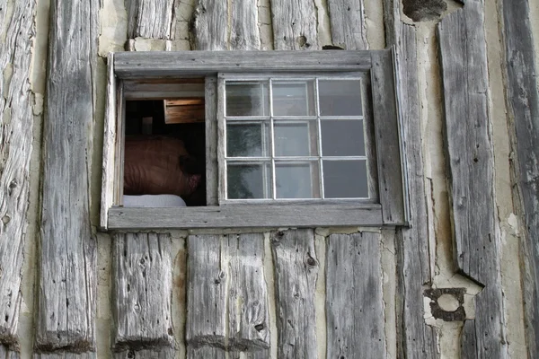 Fenster im Blockhaus (ca. 1800)) — Stockfoto