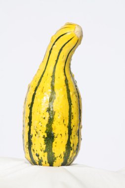 Süs kabağı/Squash (sarı)