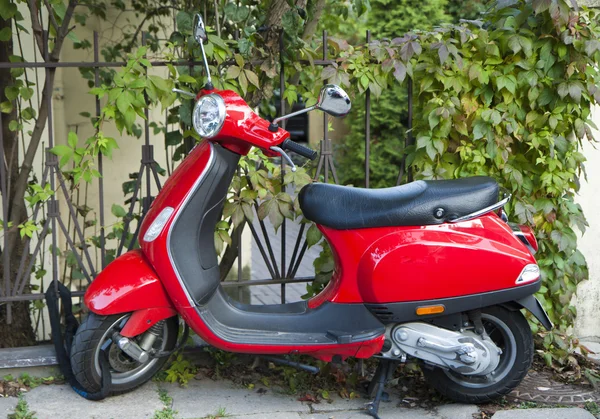 Красный скутер — стоковое фото