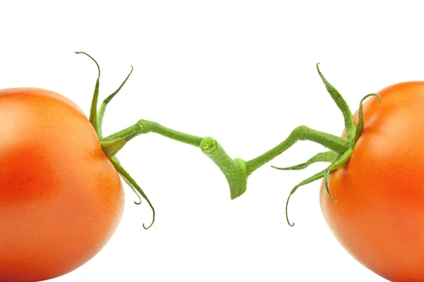 Zwei einander gegenüberliegende Tomaten — Stockfoto