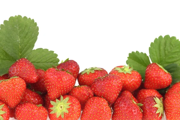 Banner av färska mogna jordgubbar — Stockfoto