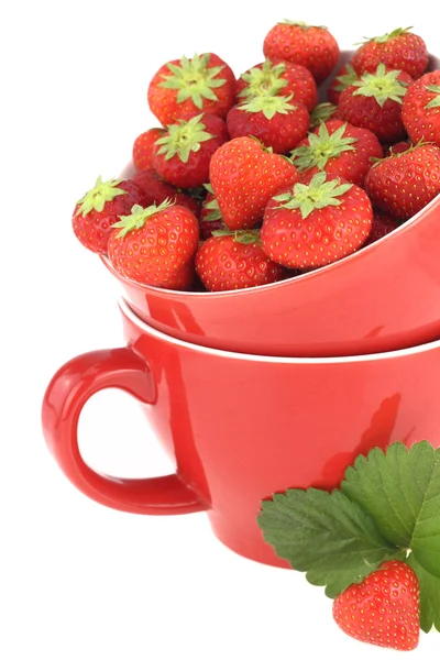 Fresh strawberries in a red jar — Stock Photo, Image
