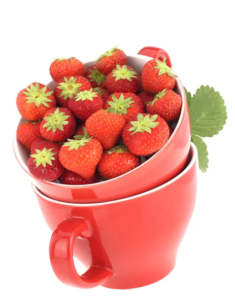 Verse aardbeien in een rode pot — Stockfoto