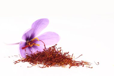 Dried saffron spice and Saffron flowers clipart