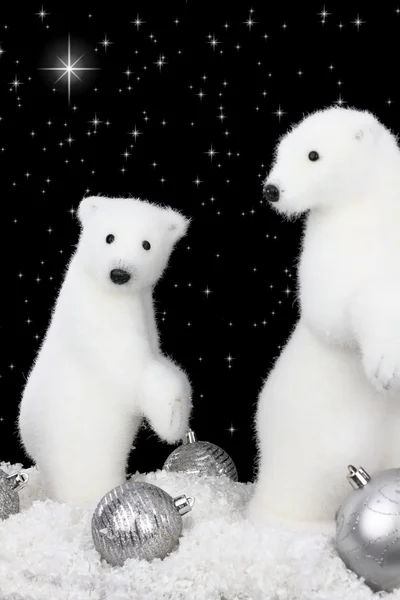 在圣诞夜雪白色熊 — 图库照片