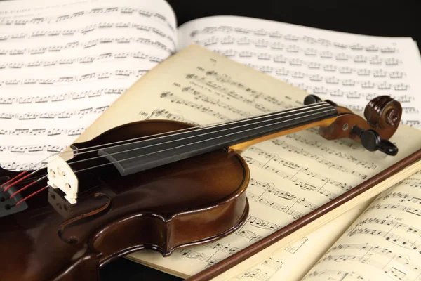 Violin och musik ark — Stockfoto