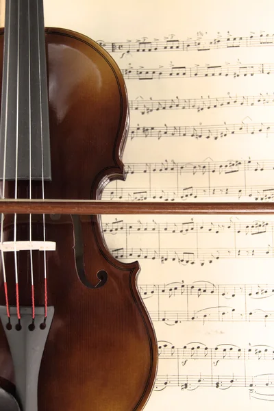 Скрипка и ноты — стоковое фото