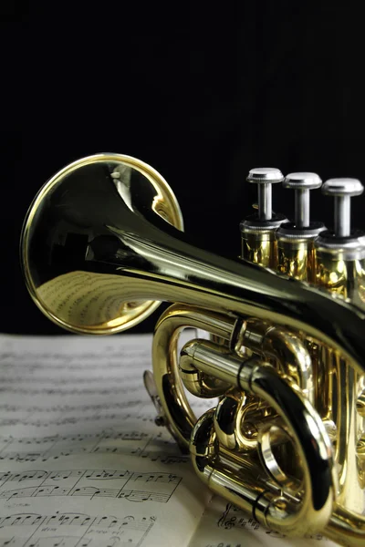 stock image Trumpet with music sheet