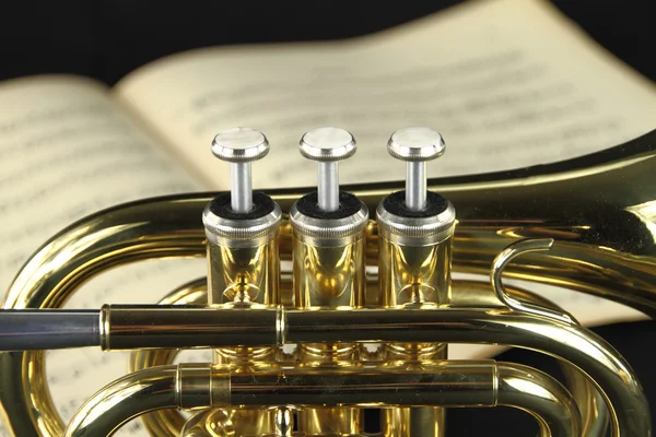 Труба з музичним аркушем — стокове фото