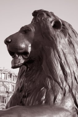 Lion of Nelsons Column; London clipart