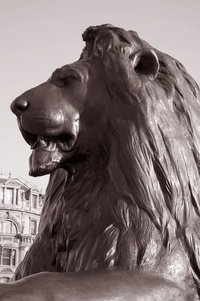 Lion of Nelsons Column; London — Stock Photo, Image