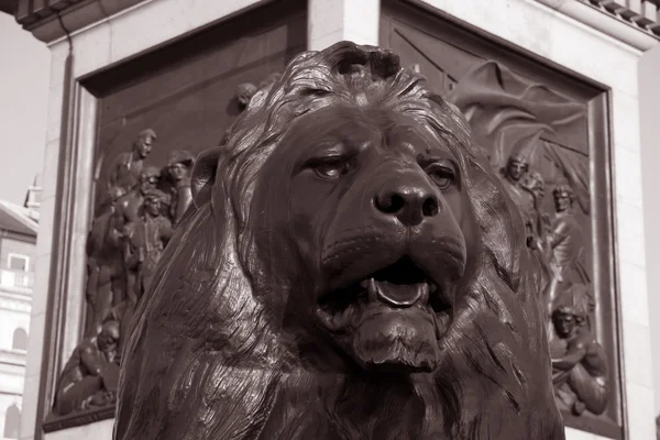 Löwe von Nelsons Säule; London — Stockfoto