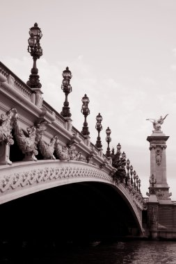 Alexandre III Bridge, Paris clipart