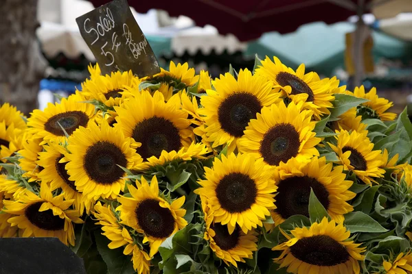 Sonnenblumen auf dem Markt — Stockfoto