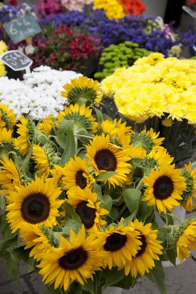 Zonnebloem en andere bloemen — Stockfoto