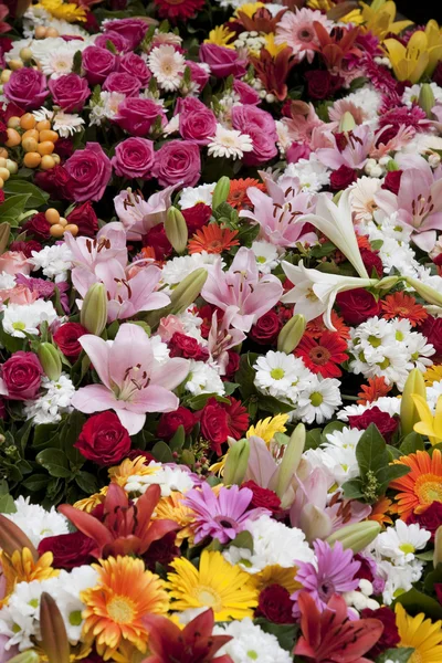 Virágot háttér — Stock Fotó