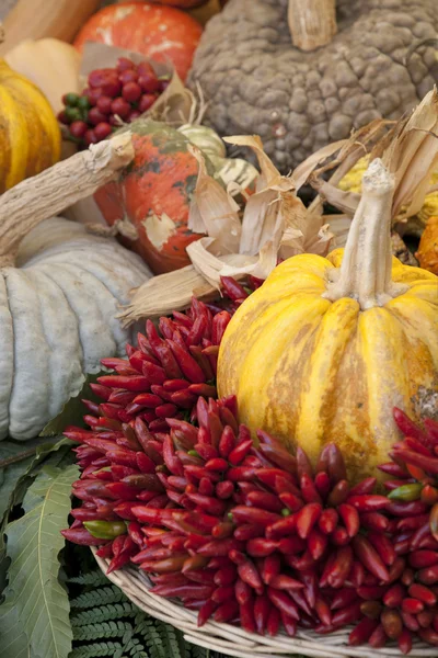 stock image Pumpkins