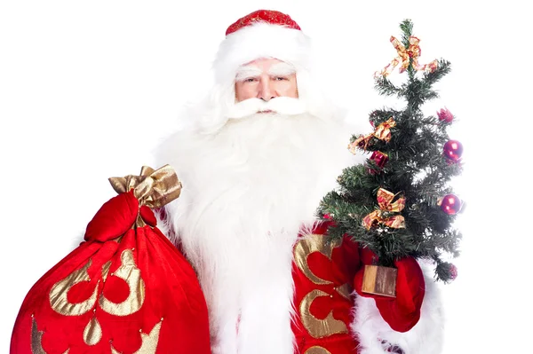 Tema de Navidad: Santa Claus sosteniendo el árbol de Navidad y su bolso —  Fotos de Stock