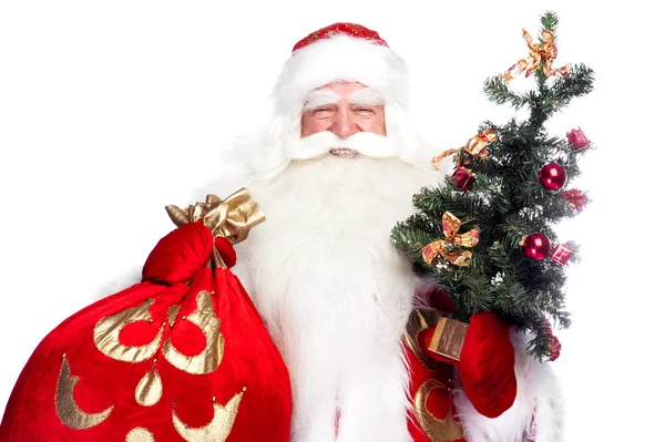 Christmas theme: Santa Claus holding christmas tree and his bag — Stock Photo, Image