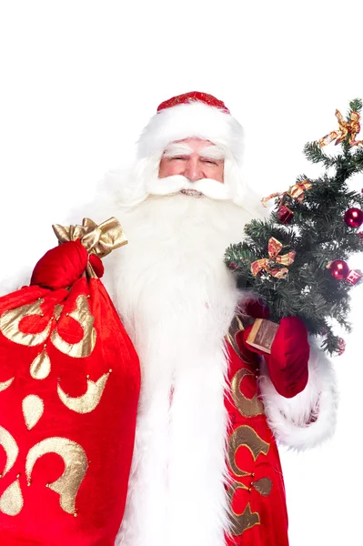 クリスマスのテーマ: サンタ クロース クリスマス ツリーと彼の袋を保持しています。 — ストック写真