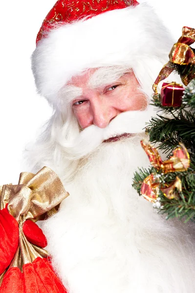 クリスマスのテーマ: サンタ クロース クリスマス ツリーと彼の袋を保持しています。 — ストック写真