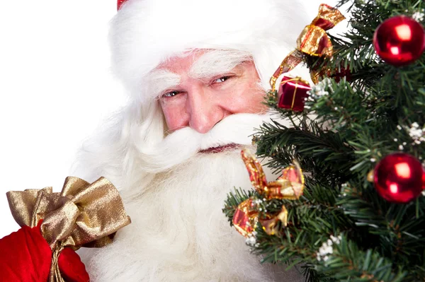 Boże Narodzenie Motyw: Santa Claus gospodarstwa choinki i jego worek — Zdjęcie stockowe