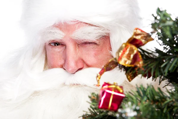 Kerstthema: Santa Claus holding kerstboom en zijn tas — Stockfoto