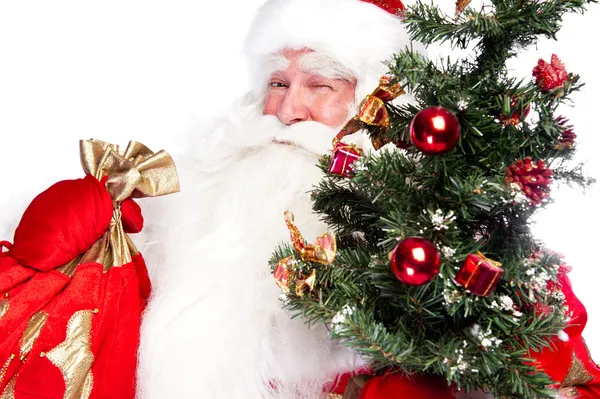 Thème de Noël : Père Noël tenant l'arbre de Noël et son sac — Photo