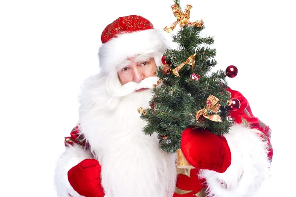 Christmas theme: Santa Claus holding christmas tree and his bag — Stock Photo, Image