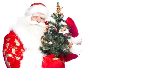 Новорічна тема: Дід Мороз тримає ялинку і його мішок — стокове фото