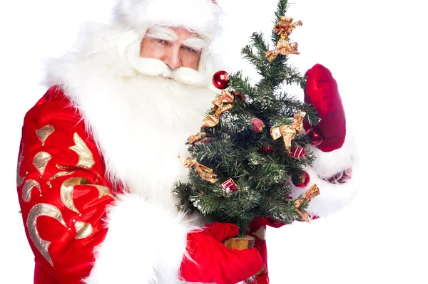 Weihnachtsthema: Weihnachtsmann mit Weihnachtsbaum und Tasche — Stockfoto