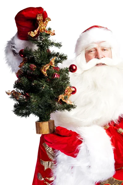 Kerstthema: Santa Claus holding kerstboom en zijn tas — Stockfoto