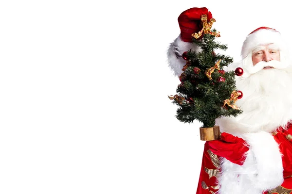 Новорічна тема: Дід Мороз тримає ялинку і його мішок — стокове фото