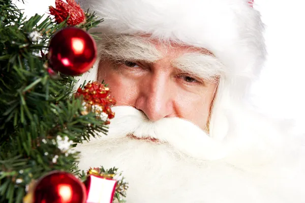Juletema: Julenissen holder juletre og bagen sin – stockfoto