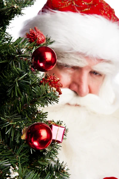 Tema Natale: Babbo Natale che tiene l'albero di Natale e la sua borsa — Foto Stock