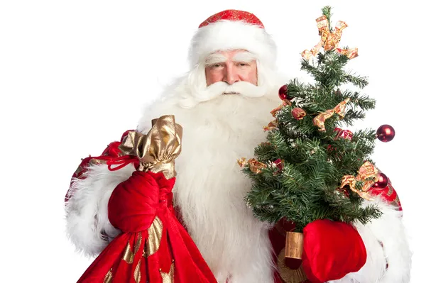 Tema de Natal: Papai Noel segurando árvore de Natal? pessoal e h — Fotografia de Stock