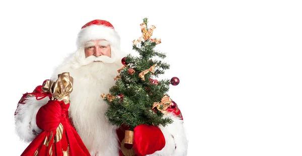 Рождественская тема: Санта-Клаус с рождественской ёлкой? персонал и h — стоковое фото