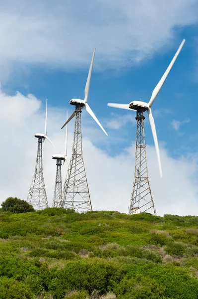 Красивый зеленый луг с ветряными турбинами, генерирующими электричество — стоковое фото