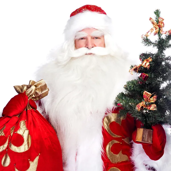 Tema de Natal: Papai Noel segurando árvore de Natal e sua bolsa cheia de gif — Fotografia de Stock