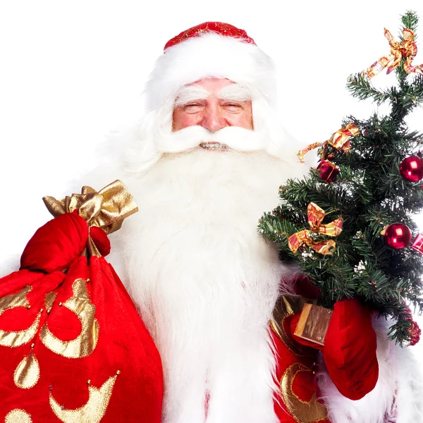 Θέμα Χριστούγεννα: Άγιος Βασίλης, κρατώντας το χριστουγεννιάτικο δέντρο και την σακούλα γεμάτη gif — Φωτογραφία Αρχείου