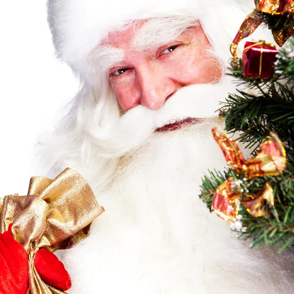 Tema di Natale: Babbo Natale che tiene l'albero di Natale e la sua borsa piena di gif — Foto Stock