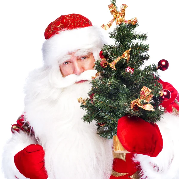 Tema de Natal: Papai Noel segurando árvore de Natal e sua bolsa — Fotografia de Stock
