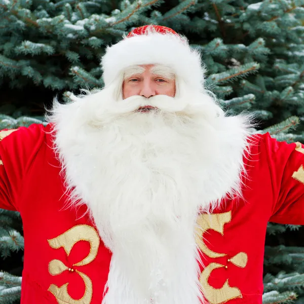 Retrato de Santa Claus de pie con las manos abiertas al aire libre en chr —  Fotos de Stock