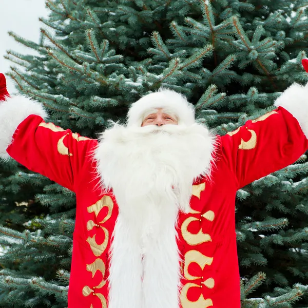 Portrait des Weihnachtsmannes, der mit offenen Händen im Freien bei chr steht — Stockfoto