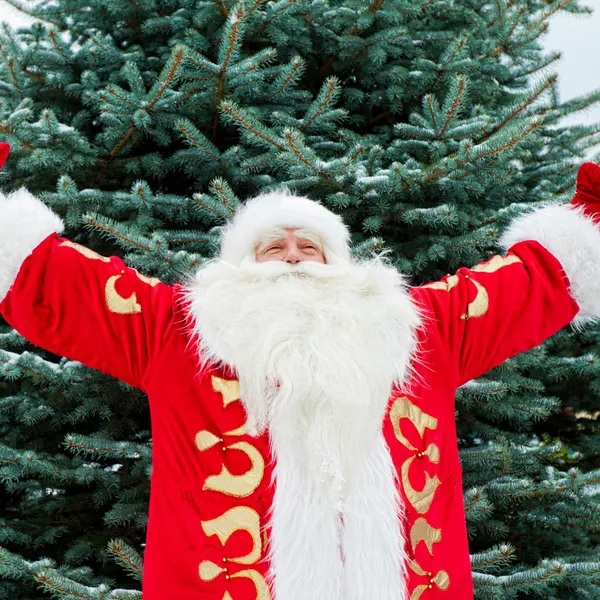 Retrato de Papai Noel de pé com as mãos abertas ao ar livre no chr — Fotografia de Stock