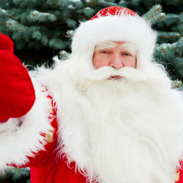 Портрет природного Санта-Клауса, стоящего у рождественской ёлки — стоковое фото