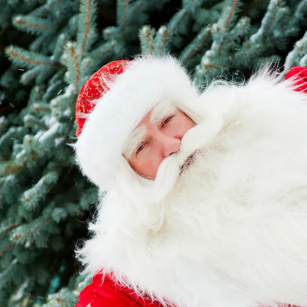 Porträt eines Weihnachtsmannes, der am Weihnachtsbaum steht — Stockfoto