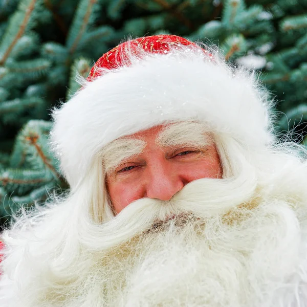 Portrait of natural Santa Claus standing at Christmas Tree outdo — Stock Photo, Image