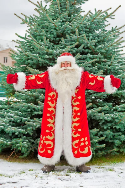 Ritratto completo di Babbo Natale in piedi con le mani aperte fuori — Foto Stock
